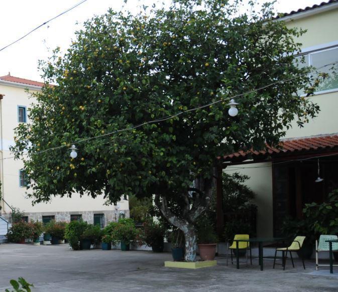 Costa-rini Leonídion